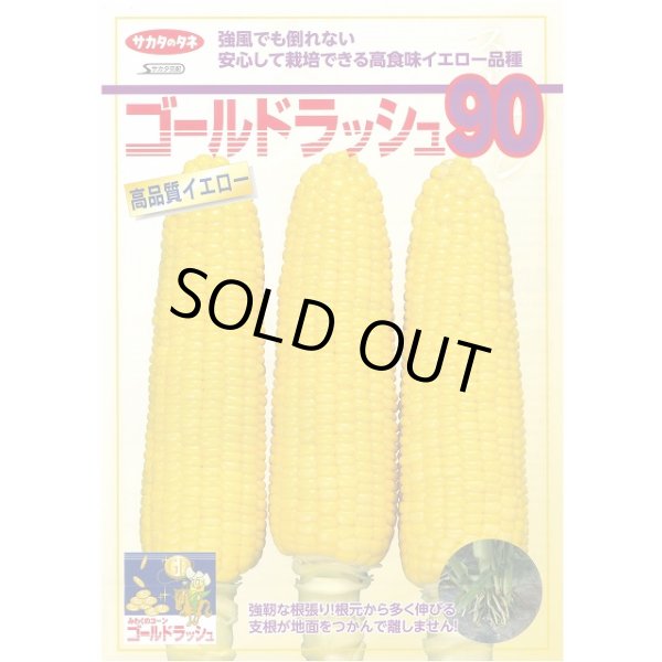 画像4: 送料無料 [とうもろこし] ゴールドラッシュ90 200粒 (株)サカタのタネ (4)