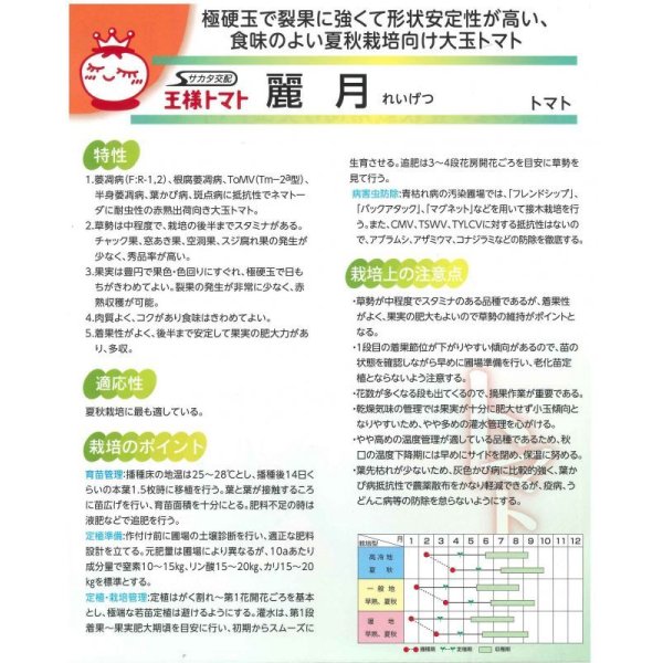 画像3: 送料無料　[トマト]　麗月　1000粒　(株)サカタのタネ (3)