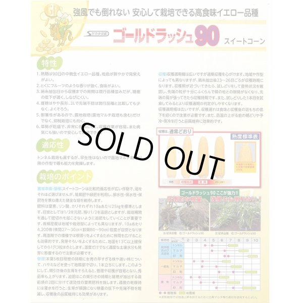 画像3: 送料無料 [とうもろこし] ゴールドラッシュ90 200粒 (株)サカタのタネ (3)