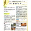 画像3: 送料無料　[とうもろこし]　まるポップ　約65粒　(株)サカタのタネ　実咲450（002893） (3)