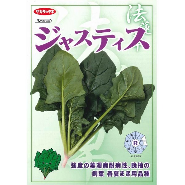 画像3: 送料無料　[ほうれんそう]　ジャスティス　約900粒　(株)サカタのタネ　実咲350（003014） (3)