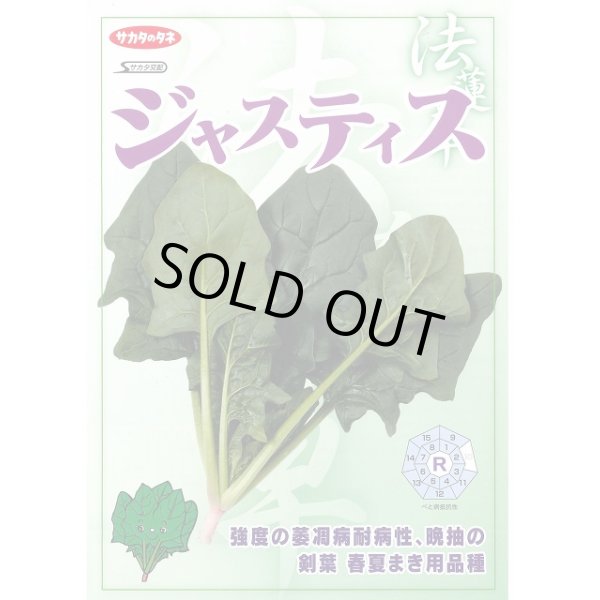 画像3: 送料無料　[ほうれんそう]　ジャスティス　約900粒　(株)サカタのタネ　実咲350（003014） (3)
