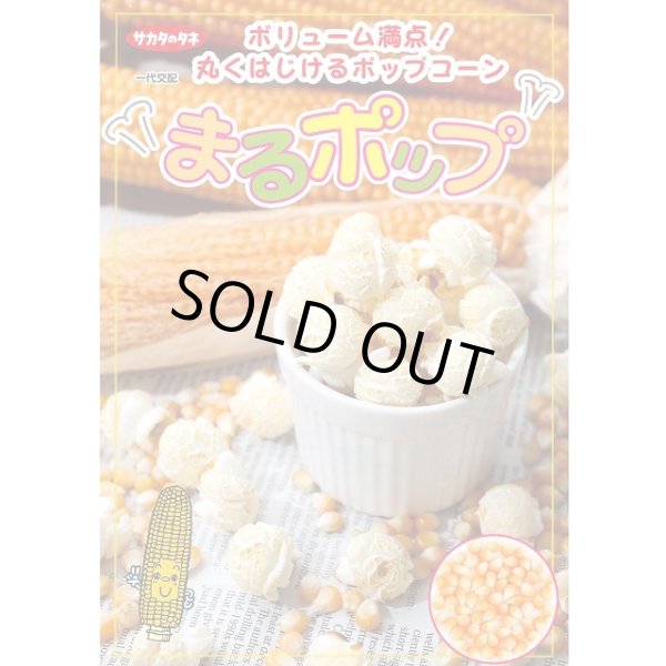 画像2: 送料無料　[とうもろこし]　まるポップ　約65粒　(株)サカタのタネ　実咲450（002893） (2)