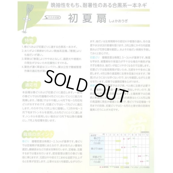 画像2: 送料無料 [ねぎ] 初夏扇 ペレット種子 6千粒 (株)サカタのタネ (2)
