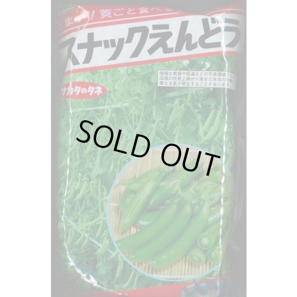 画像1: [えんどう]　スナックエンドウ　1L(およそ3230粒)　(株)サカタのタネ (1)