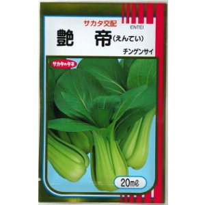 画像: 送料無料　[中国野菜]　チンゲンサイ　艶帝　20ml　(株)サカタのタネ