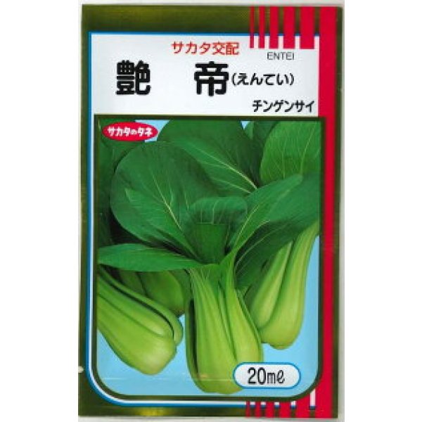 画像1: 送料無料　[中国野菜]　チンゲンサイ　艶帝　20ml　(株)サカタのタネ (1)