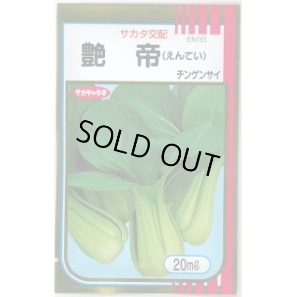 画像1: [中国野菜]　チンゲンサイ　艶帝　20ｍｌ　サカタ交配　 (1)