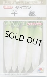 画像: 送料無料　[大根]　千都　20ml　タキイ種苗(株)