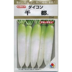 画像: 送料無料　[大根]　千都　20ml　タキイ種苗(株)