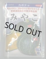 画像: 送料無料　[かぼちゃ]　みやこ　100粒　(株)サカタのタネ