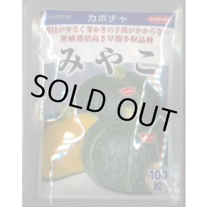 画像: 送料無料　[かぼちゃ]　みやこ　100粒　(株)サカタのタネ