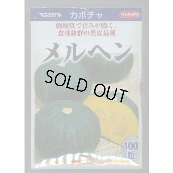 画像1: 送料無料　[かぼちゃ]　メルヘン　100粒　(株)サカタのタネ (1)