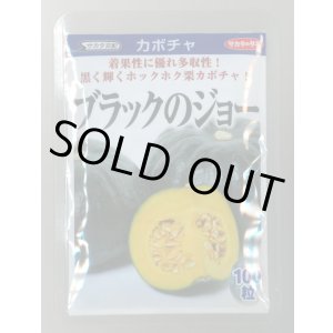 画像: 送料無料　[かぼちゃ]　ブラックのジョー　100粒　(株)サカタのタネ