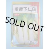 画像: 送料無料 [ねぎ] 雷帝下仁田 20ml サカタのタネ(株)
