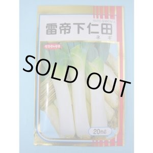 画像: 送料無料 [ねぎ] 雷帝下仁田 20ml サカタのタネ(株)