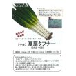 画像4: [ねぎ]　夏扇タフナー　ペレット種子　6000粒　（株）サカタのタネ　 (4)