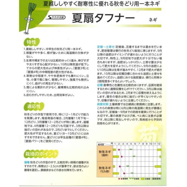 画像4: 送料無料 [ねぎ] 夏扇タフナー ペレット種子 6000粒 (株)サカタのタネ (4)