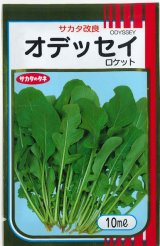 画像: 送料無料　[葉物]　ルッコラ　オデッセイ　ロケット　10ml　(株)サカタのタネ