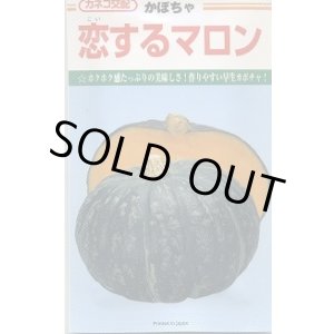 画像: 送料無料　[かぼちゃ]　恋するマロン　100粒　カネコ種苗（株）