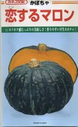 画像: 送料無料　[かぼちゃ]　恋するマロン　9粒　カネコ交配