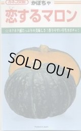 画像: 送料無料　[かぼちゃ]　恋するマロン　9粒　カネコ種苗（株）