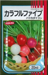 画像: 送料無料　[大根]　はつかだいこん　カラフルファイブ　20ml　(株)サカタのタネ