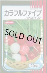 画像: [大根] はつかだいこん カラフルファイブ 20ml (株)サカタのタネ
