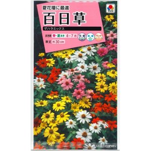 画像: 花の種　百日草（ジニア）・ザハラ ミックス　小袋　タキイ種苗（株）