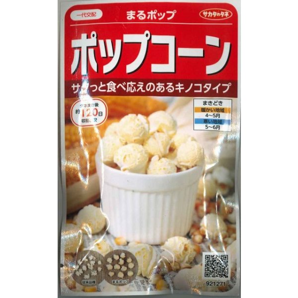 画像1: 送料無料　[とうもろこし]　まるポップ　約65粒　(株)サカタのタネ　実咲450（002893） (1)