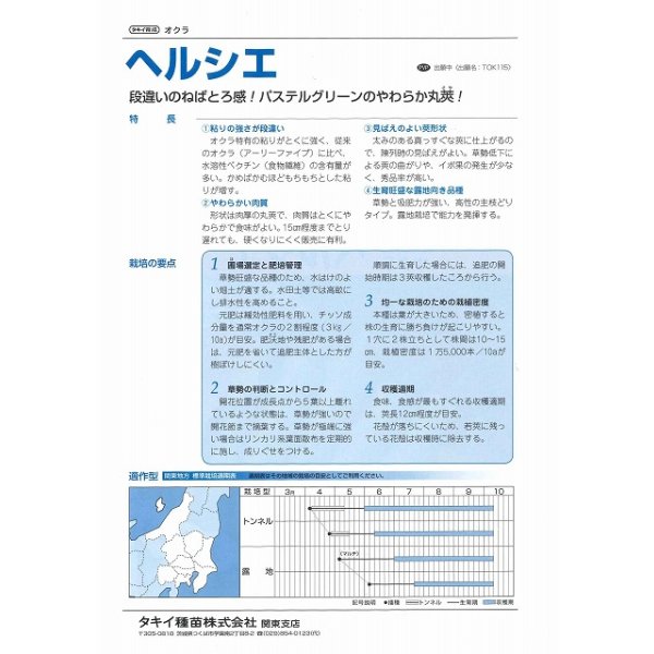 画像4: 送料無料 [オクラ] ヘルシエ 1000粒 タキイ種苗(株) (4)