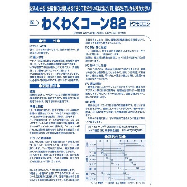 画像3: 送料無料　[とうもろこし]　わくわくコーン82　100粒　カネコ種苗（株） (3)