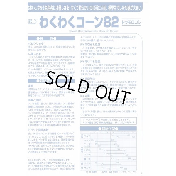 画像3: [とうもろこし]　わくわくコーン82　2000粒　カネコ種苗（株） (3)