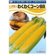 画像2: 送料無料　[とうもろこし]　わくわくコーン88　100粒　カネコ種苗（株） (2)