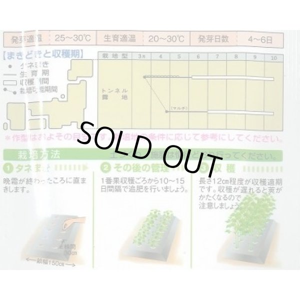 画像5: 送料無料　[オクラ]　ヘルシエ　90粒　タキイ種苗(株)　PF (5)