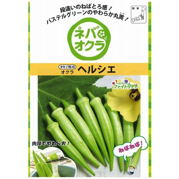 画像3: 送料無料 [オクラ] ヘルシエ 1000粒 タキイ種苗(株) (3)