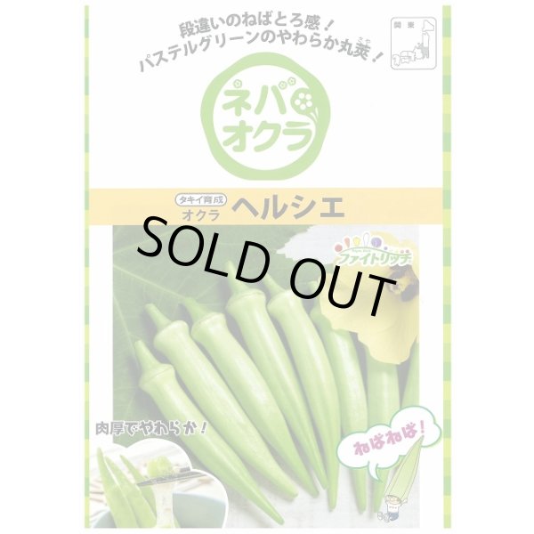 画像3: 送料無料　[オクラ]　ヘルシエ　90粒　タキイ種苗(株)　PF (3)
