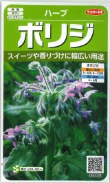 画像: [ハーブの種]　ボリジ　約45粒　サカタのタネ　実咲