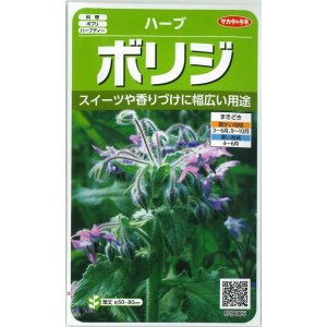 画像: [ハーブの種]　ボリジ　約45粒　サカタのタネ　実咲