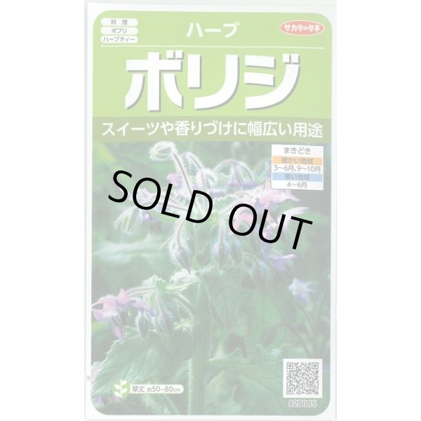 画像1: 送料無料　[ハーブの種]　ボリジ　約45粒　(株)サカタのタネ　実咲（003191） (1)