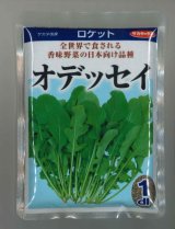 画像: 送料無料　[葉物]　ルッコラ　オデッセイ　ロケット　1dl　(株)サカタのタネ
