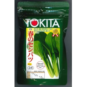 画像: [小松菜]　春のセンバツ　2dl　トキタ種苗（株）