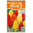 画像1: 花の種　 けいとう　八千代混合　約186粒　サカタのタネ（株）　 実咲200 (1)