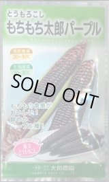 画像: 送料無料　[とうもろこし]　もちもち太郎パープル　1dl(約350粒)（株）大和農園