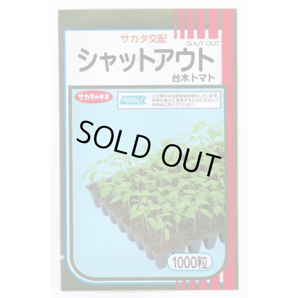画像1: 送料無料 [台木/トマト用] シャットアウト 1000粒 (株)サカタのタネ (1)