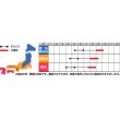 画像3: [とうもろこし]　まるポップ　200粒　サカタ交配 (3)