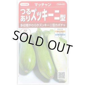 画像: 送料無料　[かぼちゃ]　マッチャン　約8粒　(株)サカタのタネ　実咲450(002871)