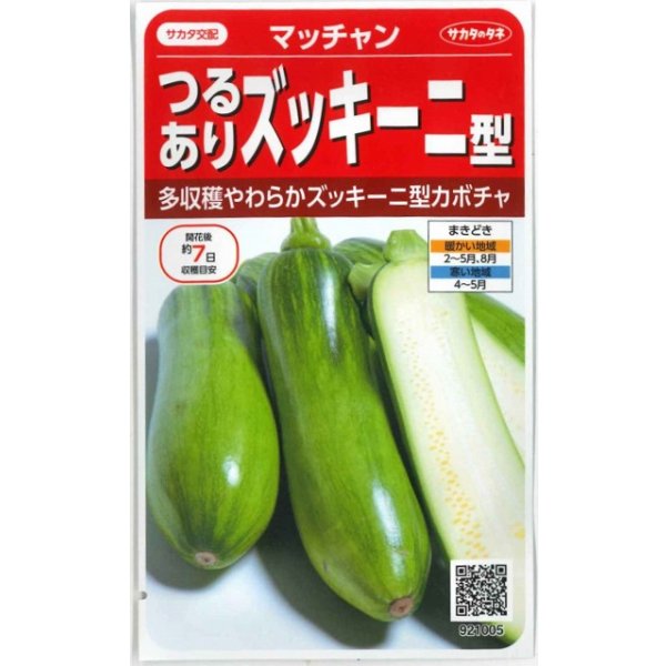 画像1: 送料無料　[かぼちゃ]　マッチャン　約8粒　(株)サカタのタネ　実咲450(002871) (1)