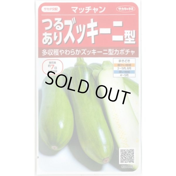画像1: 送料無料　[かぼちゃ]　マッチャン　約8粒　(株)サカタのタネ　実咲450(002871) (1)