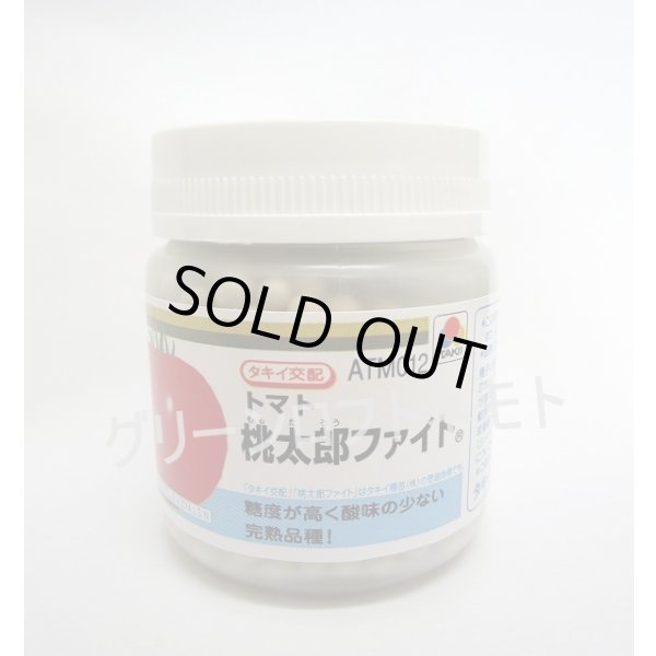 画像1: 送料無料　[トマト/桃太郎系]　桃太郎ファイト　1000粒　2L　ペレット種子　タキイ種苗(株) (1)